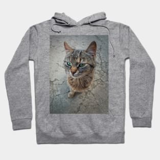 marvelous green eyes Hoodie